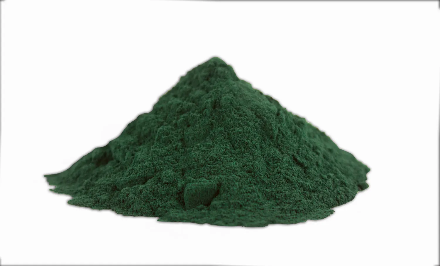 Spirulina — Arthrospira platensis