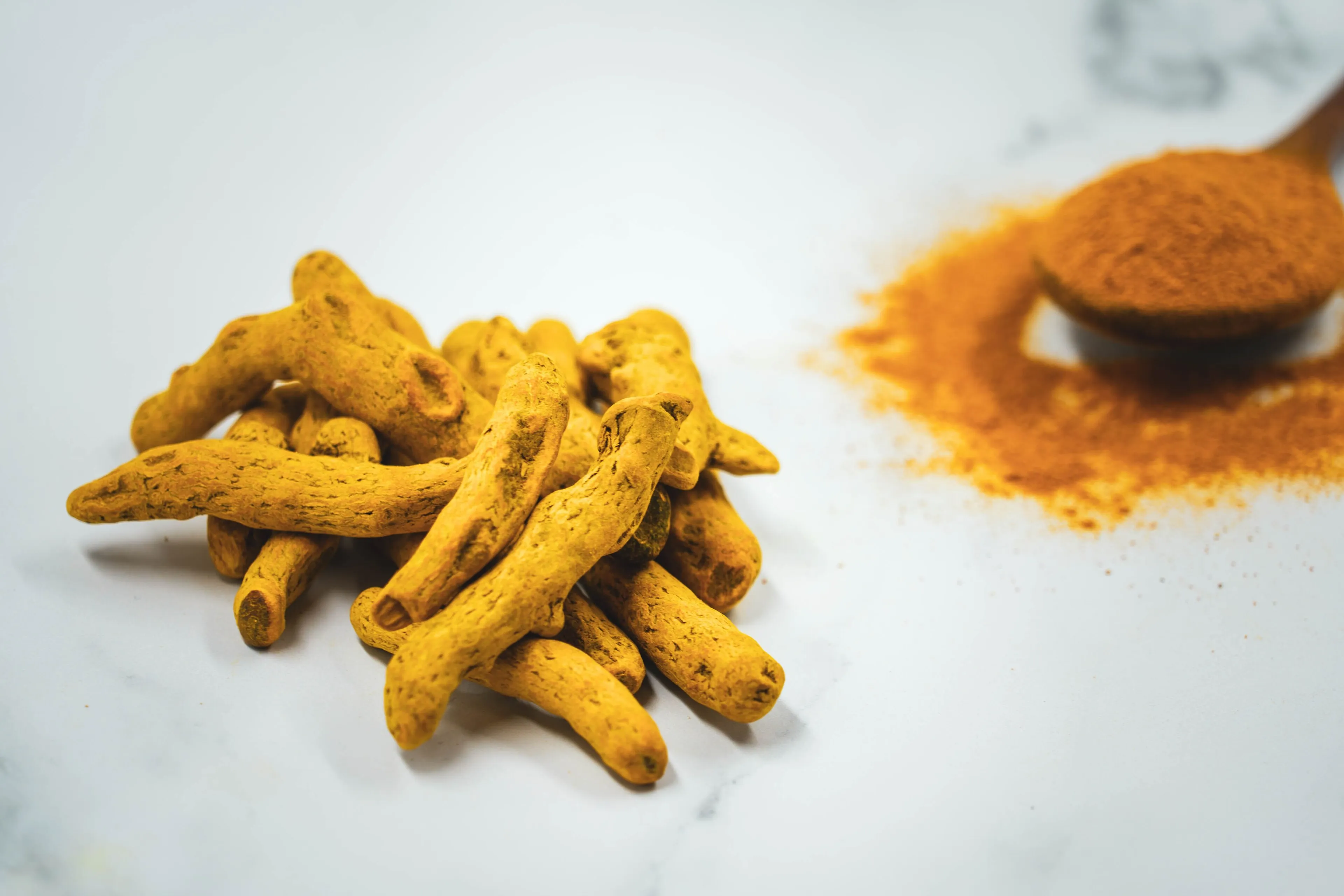 Turmeric — Curcuma longa